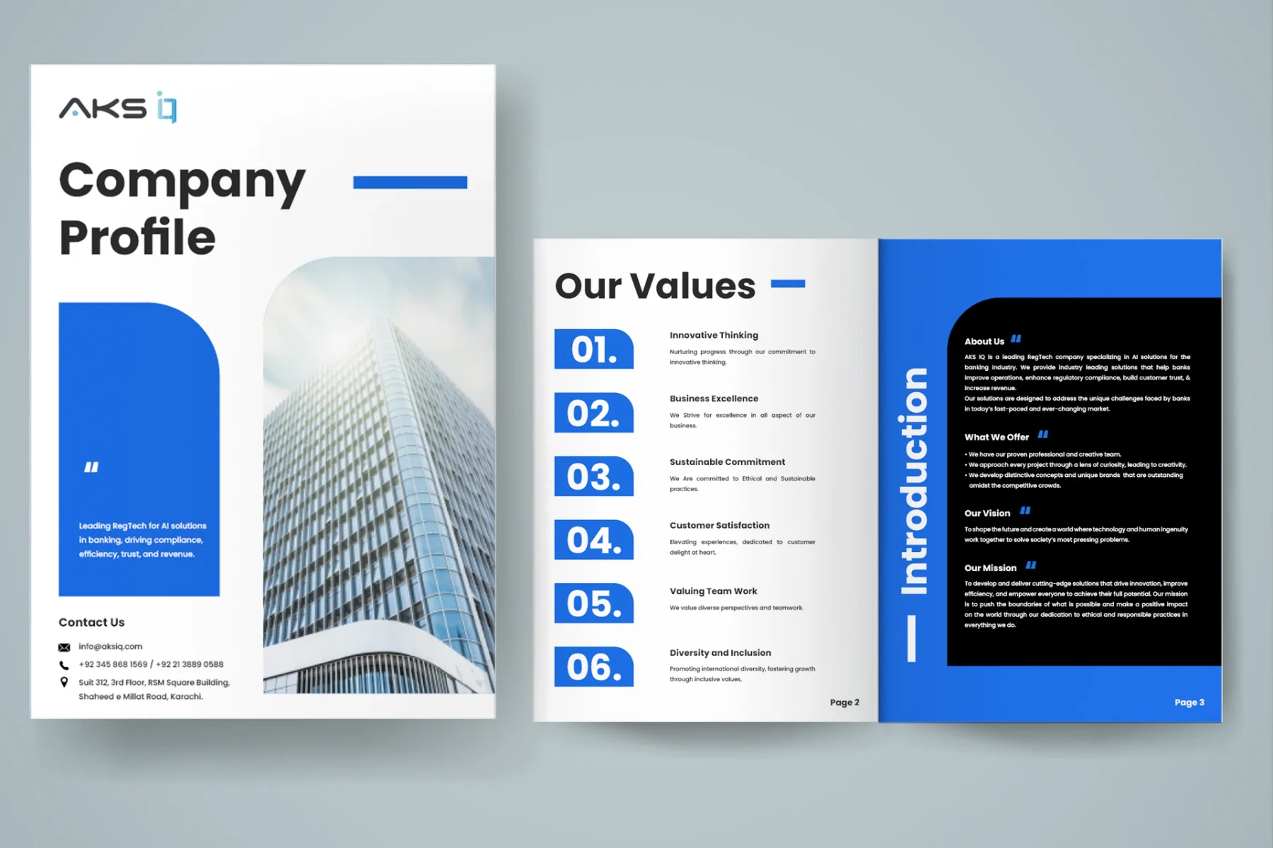 Business Company Profile Design