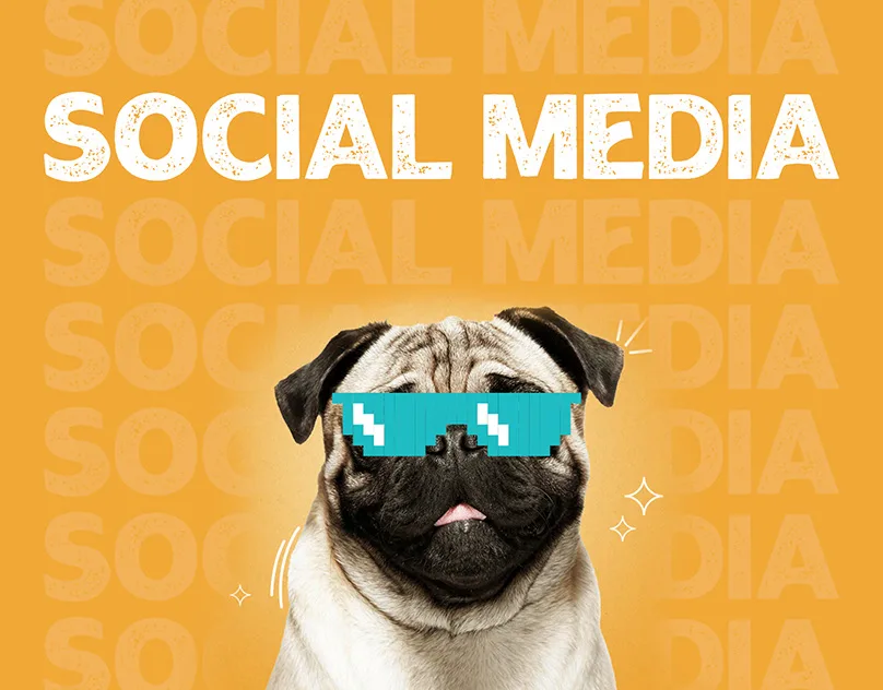 Pet Store Social Media Designs