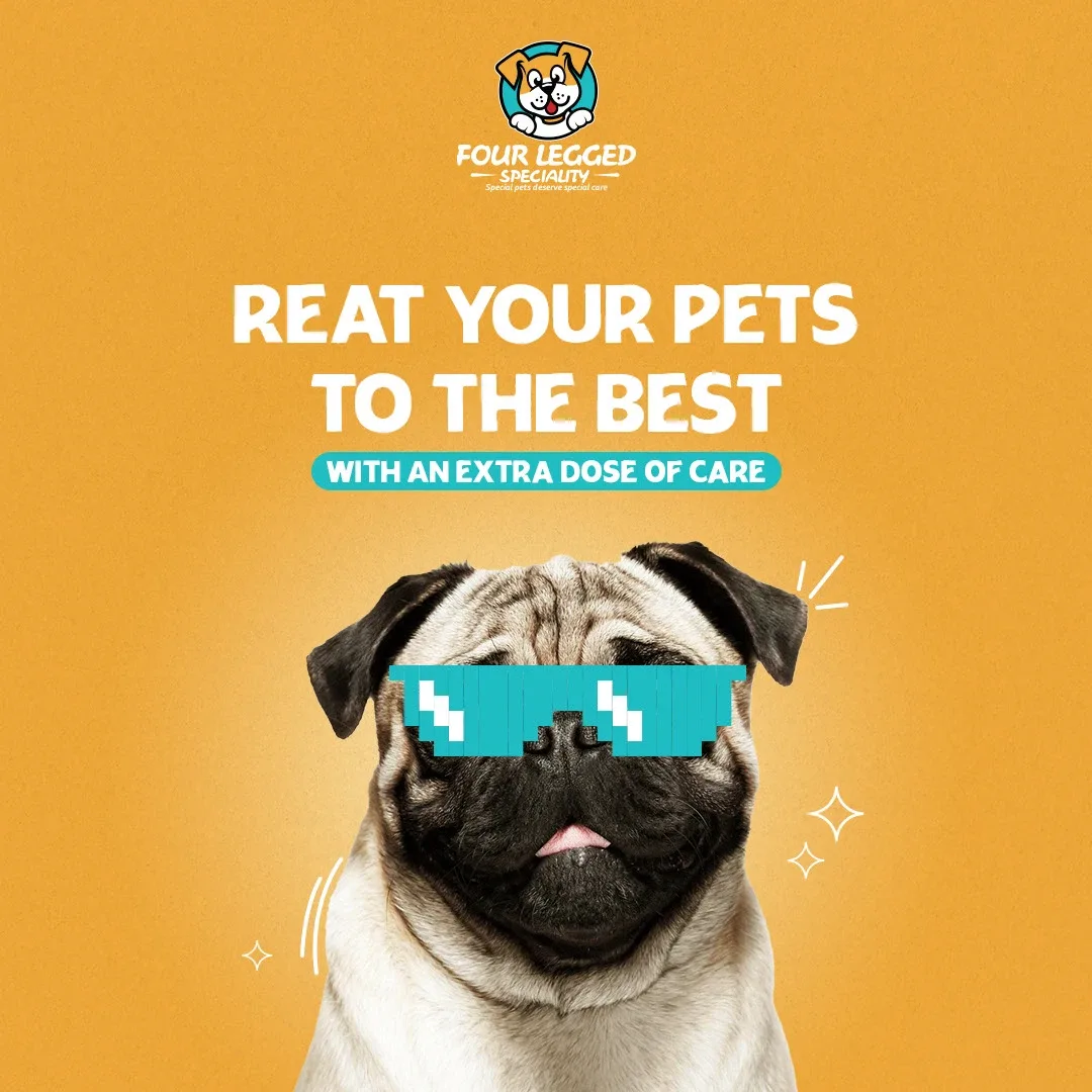 Pet Store Social Media Designs