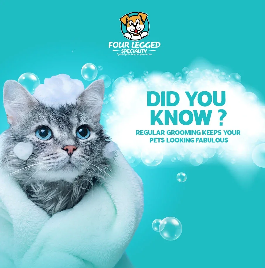 Pet Store Social Media Designs
