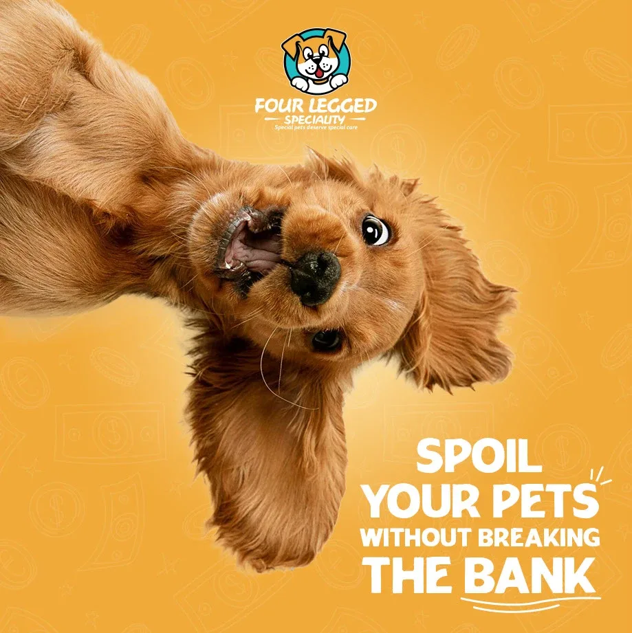 Pet Store Social Media Designs