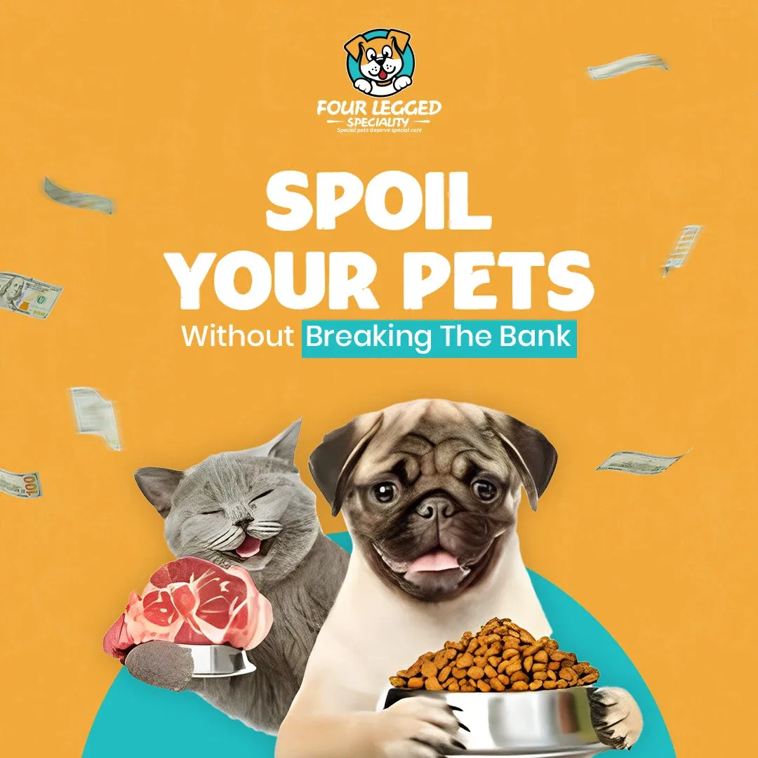Pet Store Social Media Designs