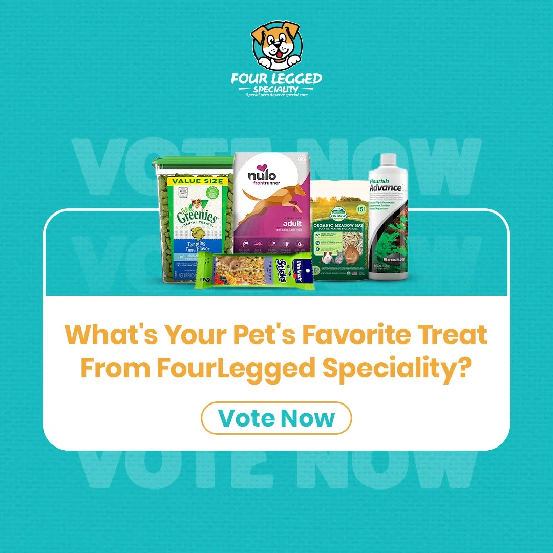 Pet Store Social Media Designs