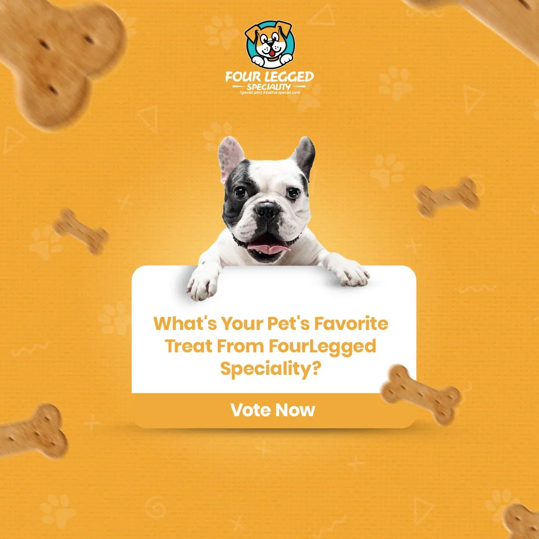 Pet Store Social Media Designs