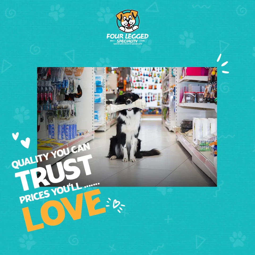 Pet Store Social Media Designs