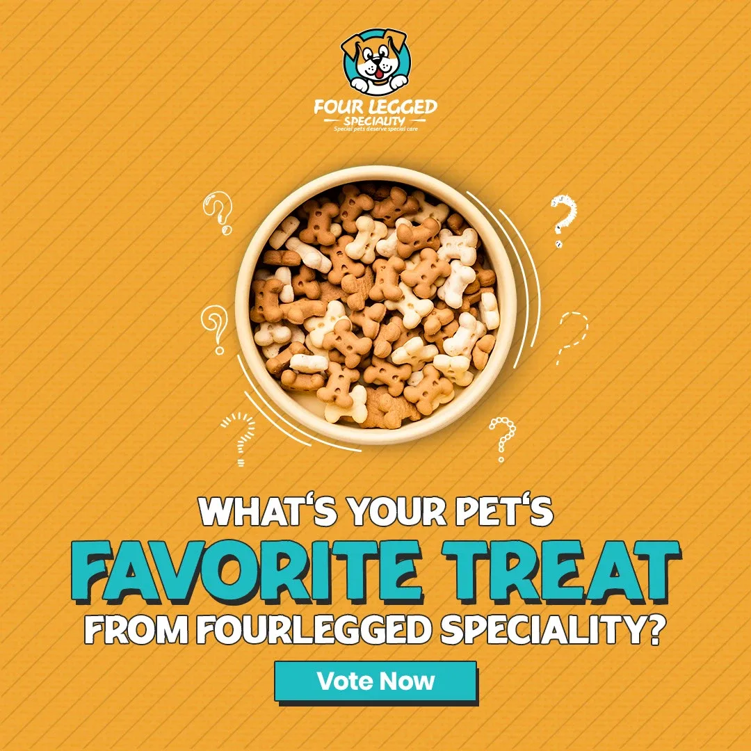 Pet Store Social Media Designs