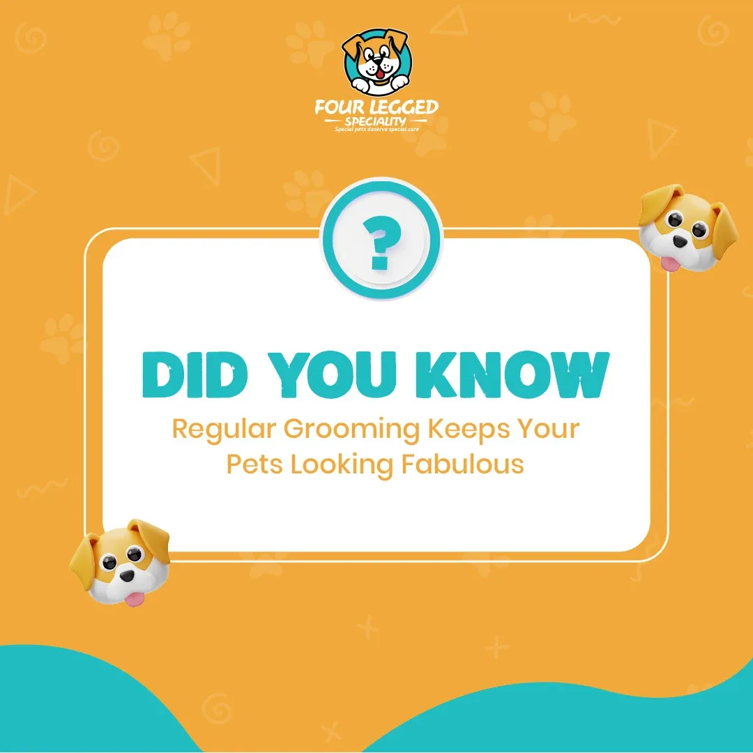 Pet Store Social Media Designs