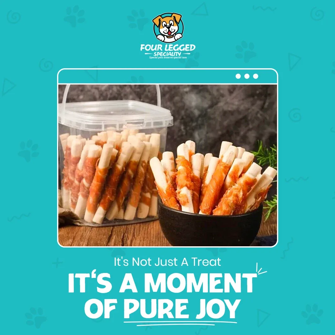 Pet Store Social Media Designs