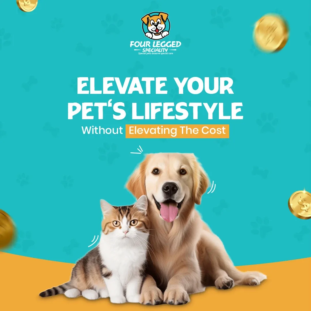 Pet Store Social Media Designs