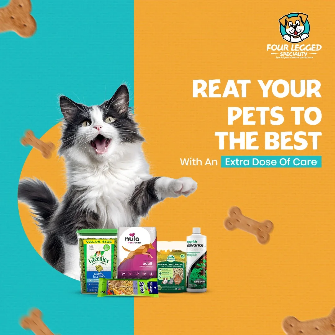 Pet Store Social Media Designs