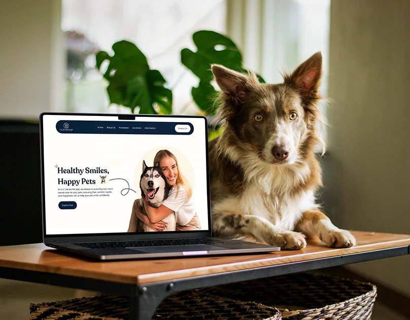 Pet Spa Website Design