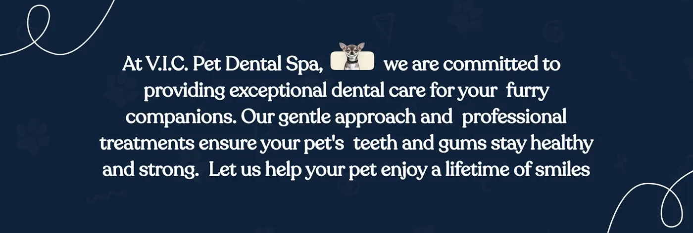 Pet Spa Website Design